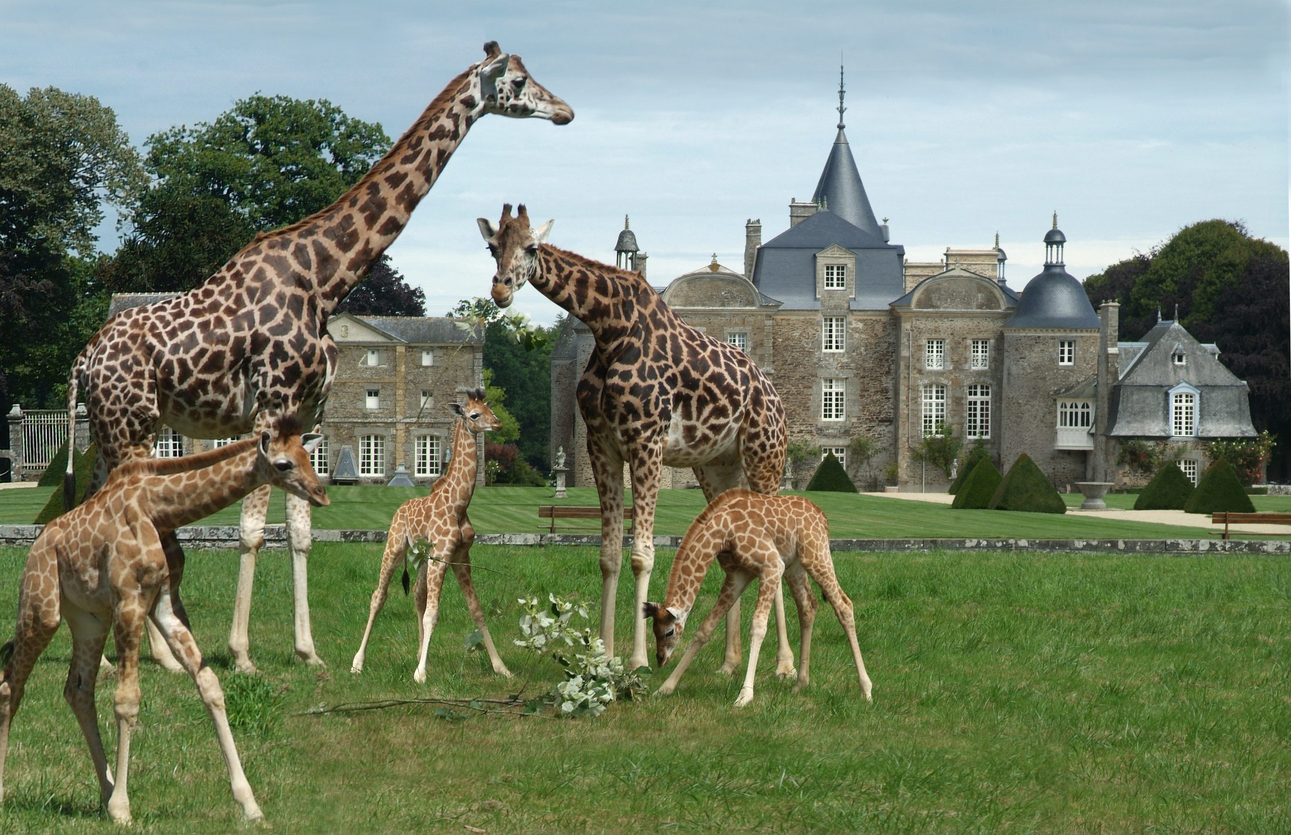 Visitez le Château et les Jardins de la Bourbansais avec le Passeport des Demeures Historiques !