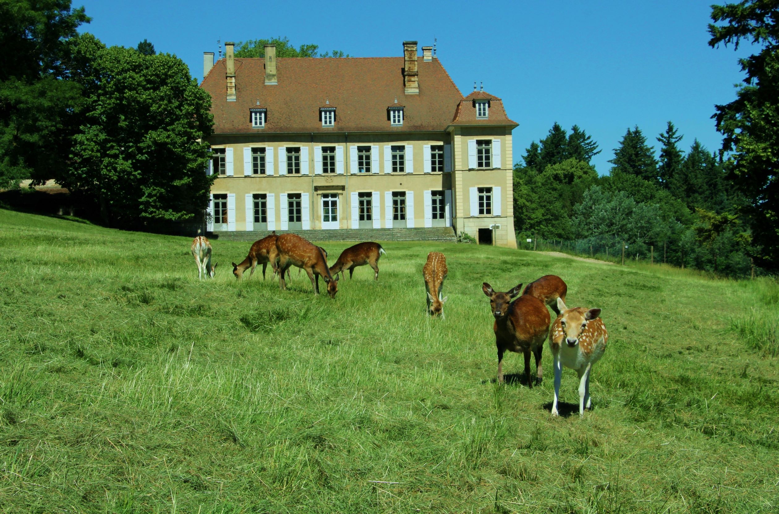 Visiter le Château de Moidière avec le Passeport des Demeures Historiques