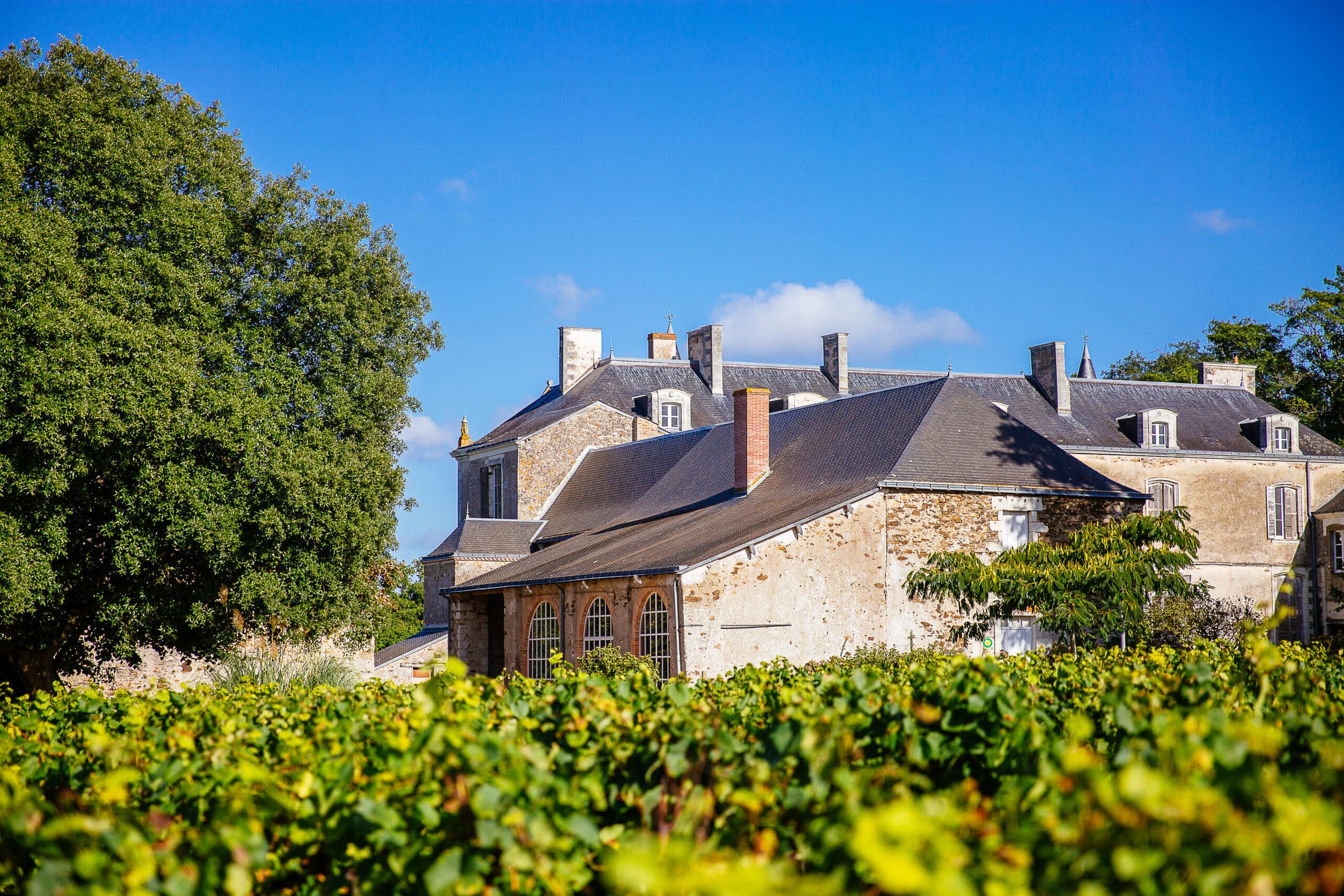 Visiter le château du Coing avec le Passeport des Demeures Historiques