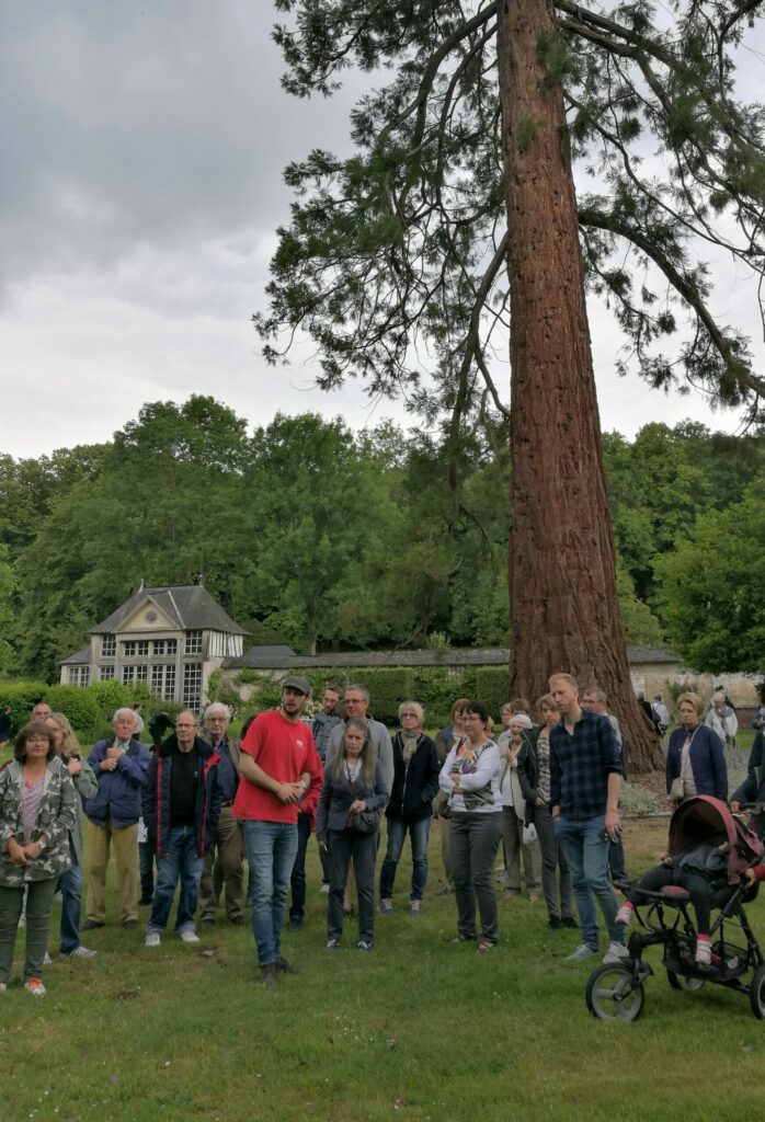Enjeux écologiques et environnementaux dans les monuments historiques